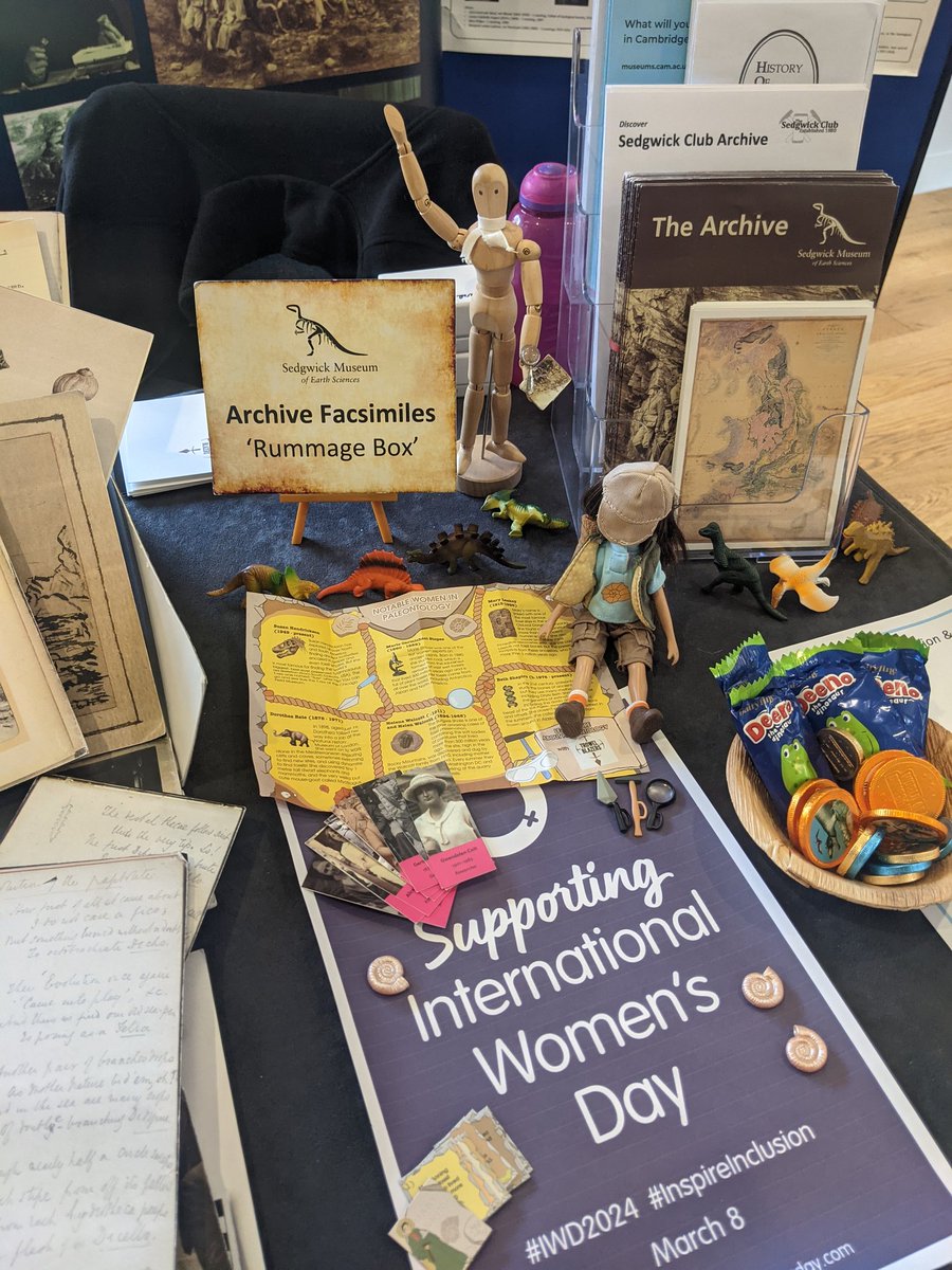 Sandra Freshney 🔍📜📖 tweet media