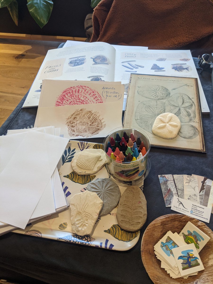 Sandra Freshney 🔍📜📖 tweet media