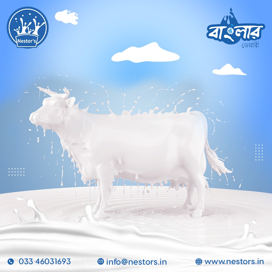 এখন আপনার প্রতিটি দিন করে তুলুন আরো সতেজ, Banglar Dairy Milk-এর সাথে। আমাদের প্রোডাক্ট সম্পর্কে যে কোনো তথ্য জানতে ভিজিট করুন আমাদের অফিসিয়াল ওয়েবসাইট এ nestors.in

#BanglarDairyMilk #MilkLovers #SavorTheTaste #MilkPerfection #TrustedDairy #HealthyChoice