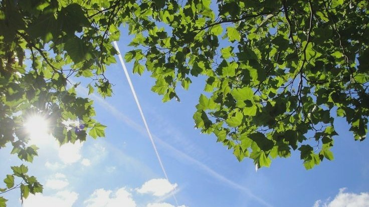moodyonmoon's tweet photo. Under the trees 🍃 https://t.co/UgvBVIM7nd