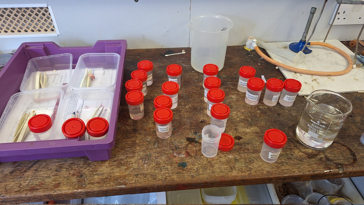 Bearslady69's tweet image. Prepping #microscale pH testing. I will always bang the drum of the benefits of using the microscale approach. It aides students access difficult practicals and reduces prep and clearing time for us techs. #TECHOGNITION