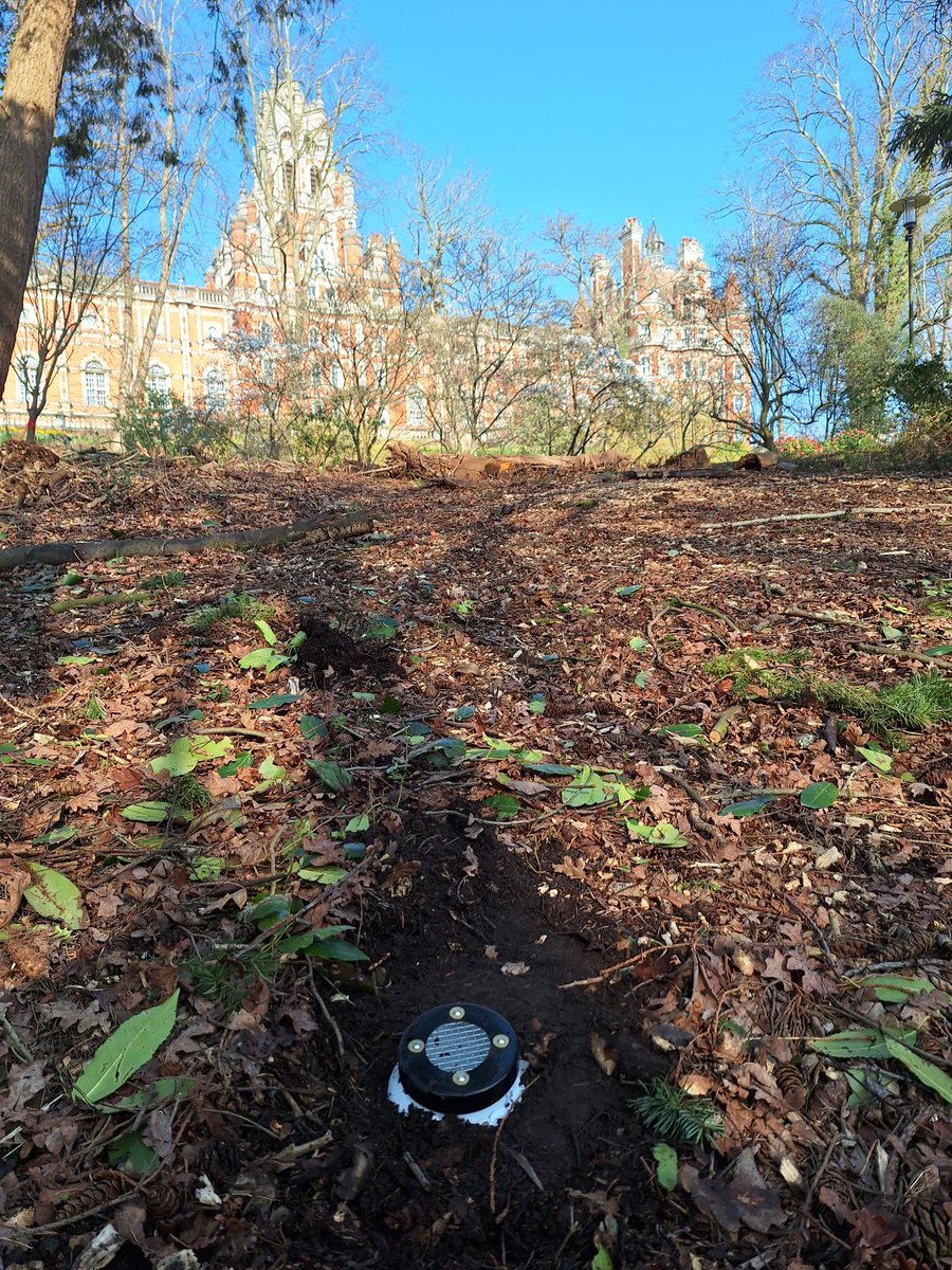 Happy International Women's Day. There is nothing better than to expend the morning going around campus setting pollen traps. Part of a larger proyect monitoring vegetation, soil, and water quality.