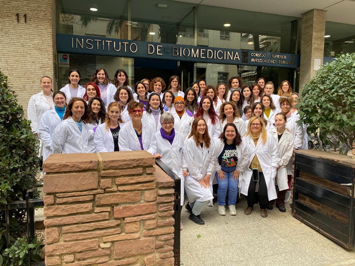IBV_CSIC's tweet photo. Todas las personas que trabajan en las dos sedes del @IBV_CSIC se unen hoy a la celebración del #DiaDeLaMujer #8M2024  por un IBV, un CSIC y una sociedad más igualitaria para todas las personas
@CSICval @CSIC @CSICdivulga https://t.co/HtWDtTFRbF