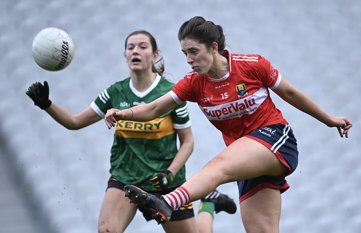 Rory Noonan tweet media