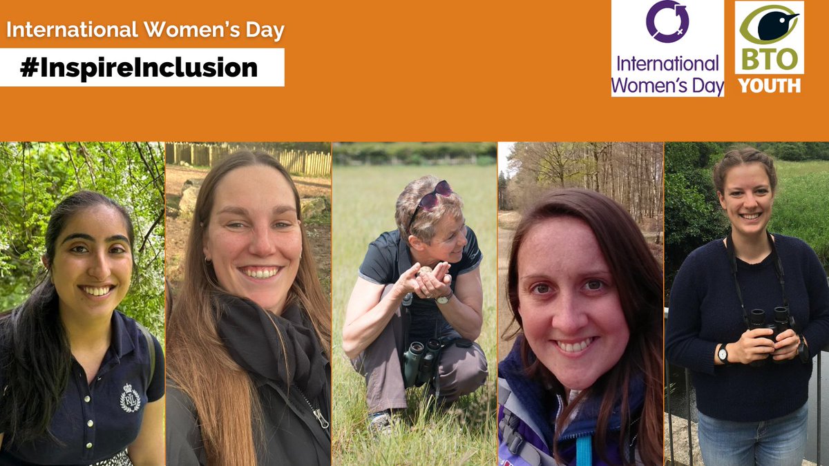 Join us in celebrating International Women's Day! 💪♀️ This year's theme, 'Inspire Inclusion', resonates deeply with #BTOYouth as our latest blog explains: bto.org/community/blog… #IWD #InspireInclusion #InternationalWomensDay