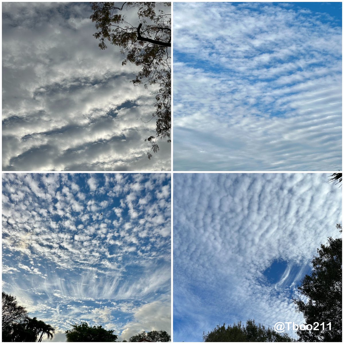 @GovRonDeSantis Please take a moment to hear from your constituents re: Weather Modification in Florida. We do not consent to any form of chemicals being sprayed in the atmosphere. (silver iodide, graphene oxide, barium, aluminum, sulfuric acid, strontium, nano plastics,…