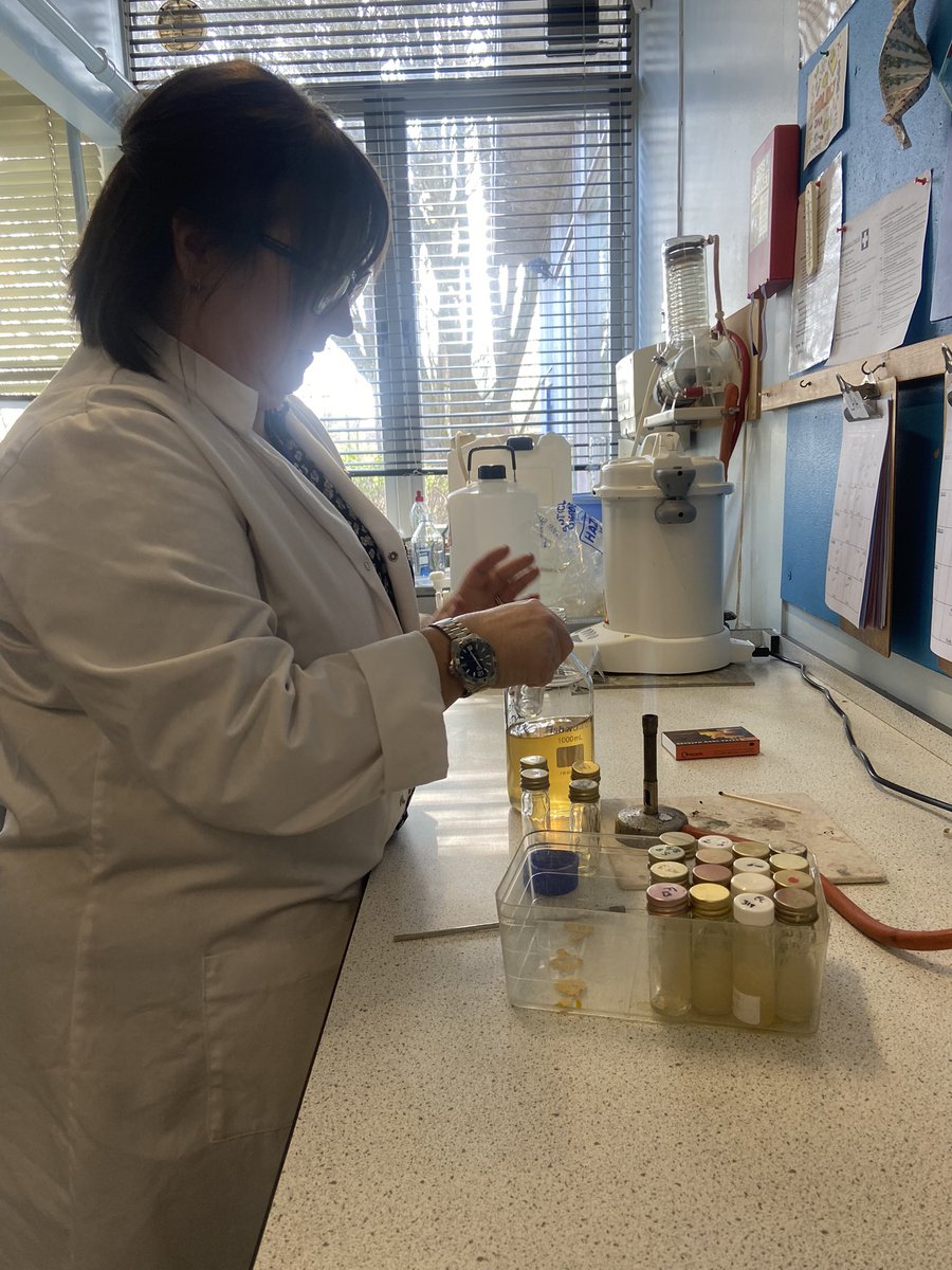 ChloeWestSci's tweet image. A microbiology masterclass for me today from Mrs Lucas….. my turn next to teach her how to bend glass! Stay tuned!
#TECHOGNITION
@TECHOGNITIONUK @Philip_HarrisUK @SLS_SE @VITTAEducation @unisontheunion @TechnicalChamps @BrecklandSci