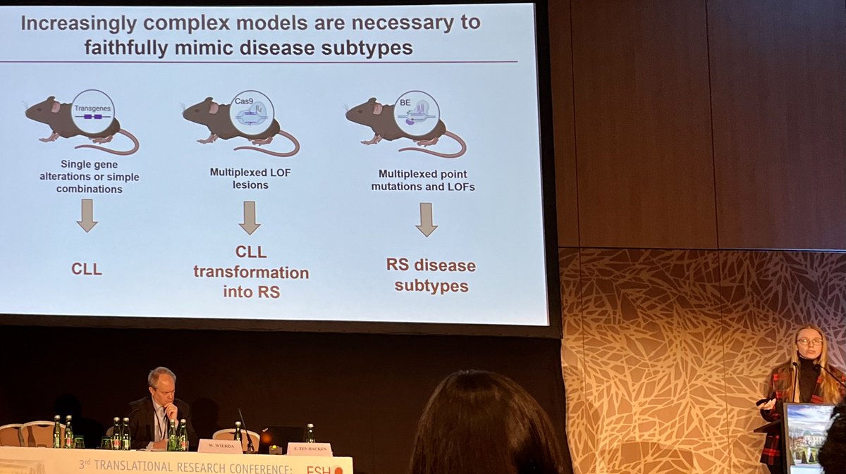 🐁 At #ESHCLL2024, @etenhacken unveils groundbreaking murine models for #RT, mirroring human disease biology, the #TME, and treatment responses. These models are instrumental in unveiling new disease insights and fostering advancements in therapy, including checkpoint inhibition.