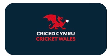 DawesJeremy's tweet photo. A productive day yesterday with 130+ pupils taking part in a Dynamos engagement day at Ysgol Bro Teifi. @CricketWales @DynamosCricket @YsgolBroTeifi @ECB_cricket https://t.co/WNgDyroJWG