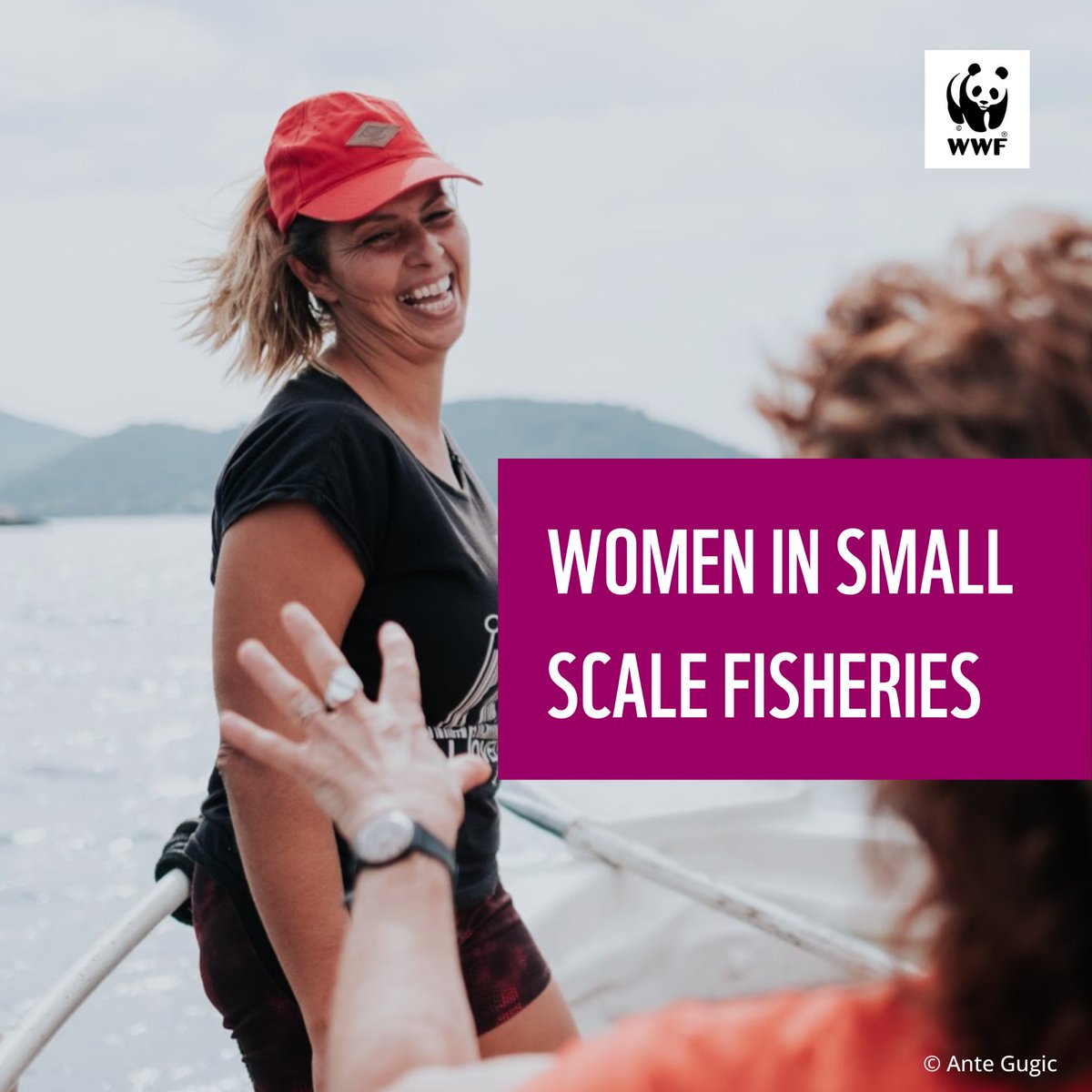 WWF_Med's tweet photo. Empowering #women in #fisheries isn't just about #genderequality; it's about building resilient #coastalcommunities, transforming fisheries and safeguarding marine #biodiversity.

#WomeninFisheries #SSF @WWFNorthAfrica @WWFespana @WWFitalia @WWF_TURKIYE @WWFLeadOceans @WWFCEE https://t.co/2xJRu4ppMl