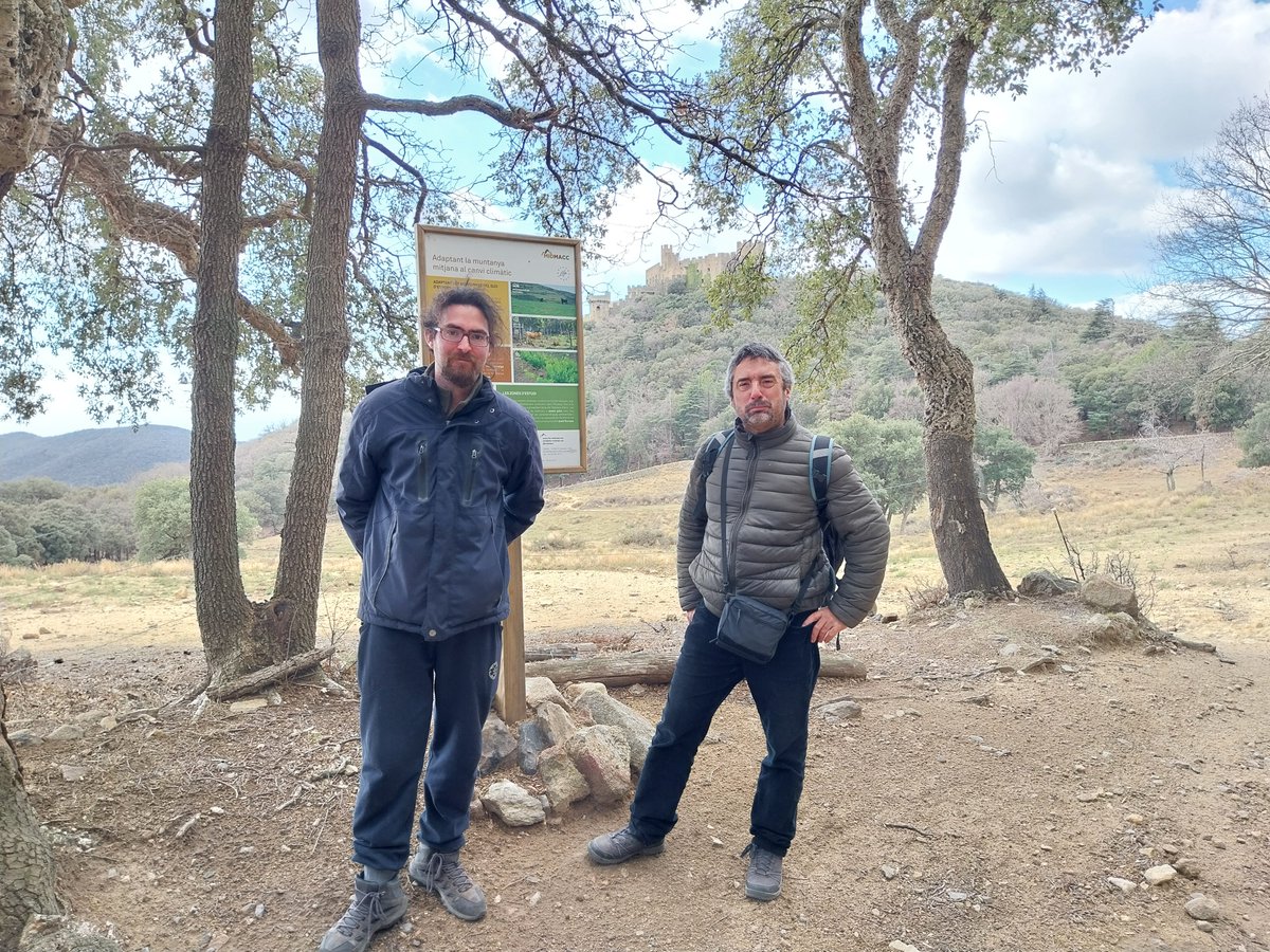 midmacc's tweet photo. The replicability is crucial for #midmacc, specially the #transferability to other Euro-Mediterranean regions. This week we have shared at @CREAF_ecologia with PhD coming from Thessaly University @uth_gr, our pilot areas and our work in forest management and #silvopastoralism. https://t.co/9Ys251Z03w
