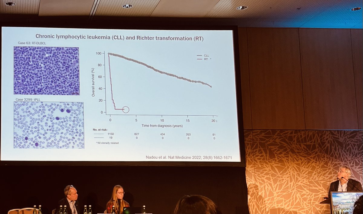 ESH (Haematology) (@eshaematology) on Twitter photo ⚠️#RT is a major challenge in #CLL. At #ESHCLL2024 a truely translational session led by <a href="/etenhacken/">Elisa ten Hacken</a>, <a href="/wwierda/">Bill Wierda, MD, PhD</a>, E. Campo, and <a href="/tobyeyre82/">Toby Eyre</a> explored tumor models, genomic landscape and therapies in RT, offering a comprehensive overview and sparking discussion. #ESHCONFERENCES ⚠️#RT is a major challenge in #CLL. At #ESHCLL2024 a truely translational session led by <a href="/etenhacken/">Elisa ten Hacken</a>, <a href="/wwierda/">Bill Wierda, MD, PhD</a>, E. Campo, and <a href="/tobyeyre82/">Toby Eyre</a> explored tumor models, genomic landscape and therapies in RT, offering a comprehensive overview and sparking discussion. #ESHCONFERENCES