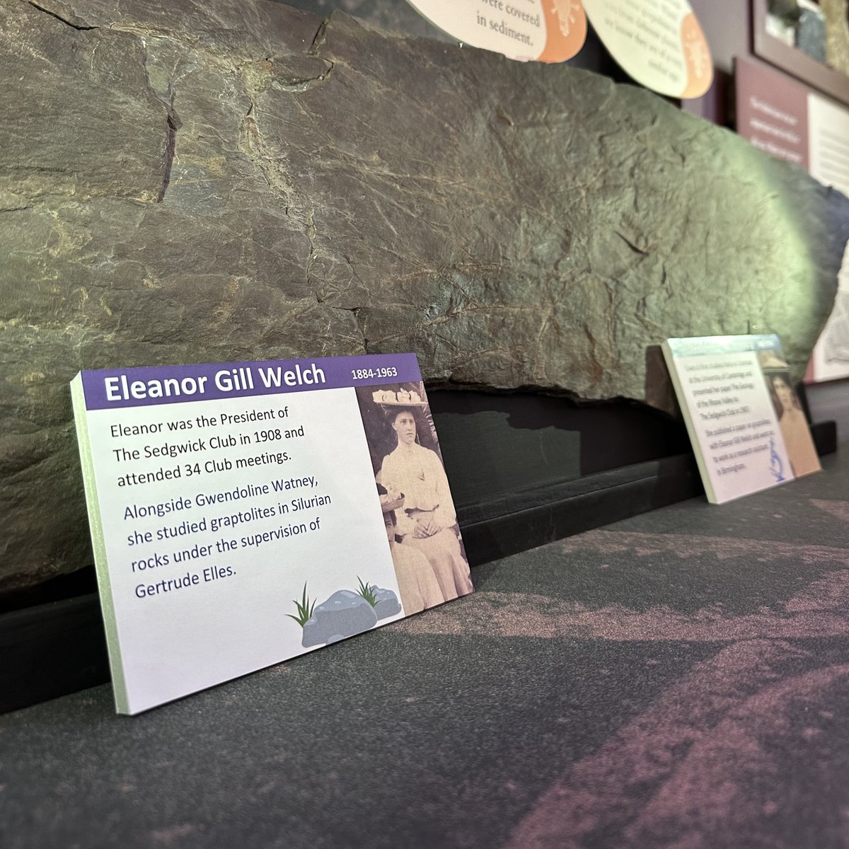 Happy #InternationalWomensDay ! Have you spotted these labels around the museum? They highlight the contributions of women to our collections and to the discipline of Earth Sciences. They were written and designed by two women Cambridge Earth Science students. #WomeninSTEM