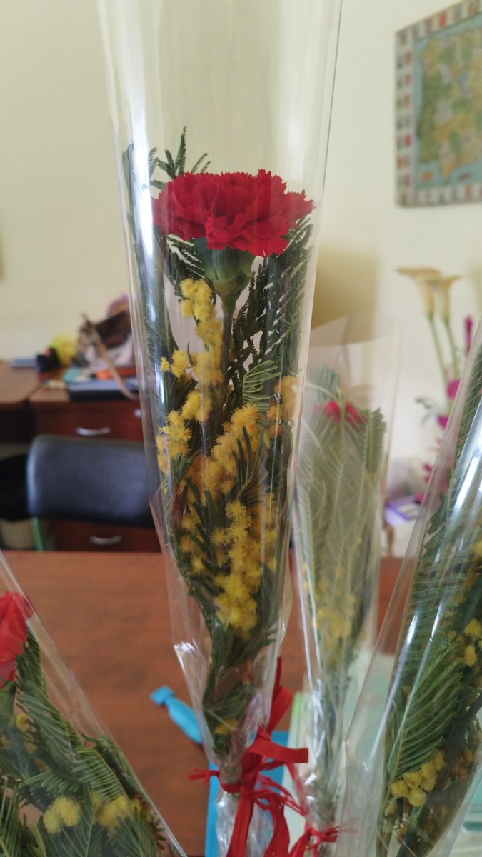 CEIP C. S. Albornoz tweet media