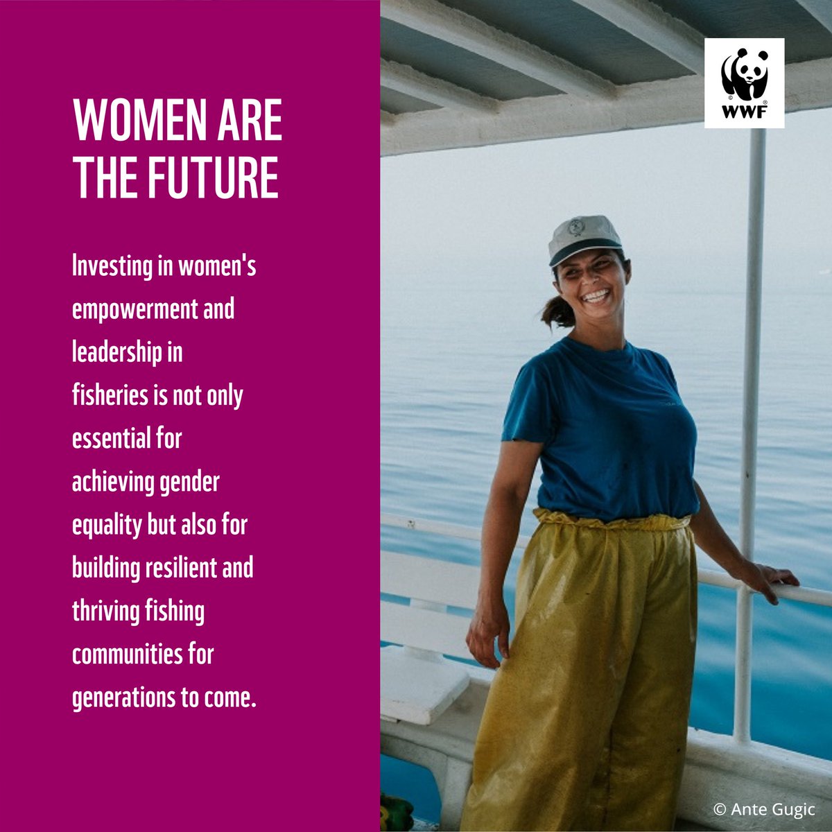 WWF_Med's tweet photo. Empowering #women in #fisheries isn't just about #genderequality; it's about building resilient #coastalcommunities, transforming fisheries and safeguarding marine #biodiversity.

#WomeninFisheries #SSF @WWFNorthAfrica @WWFespana @WWFitalia @WWF_TURKIYE @WWFLeadOceans @WWFCEE https://t.co/2xJRu4ppMl
