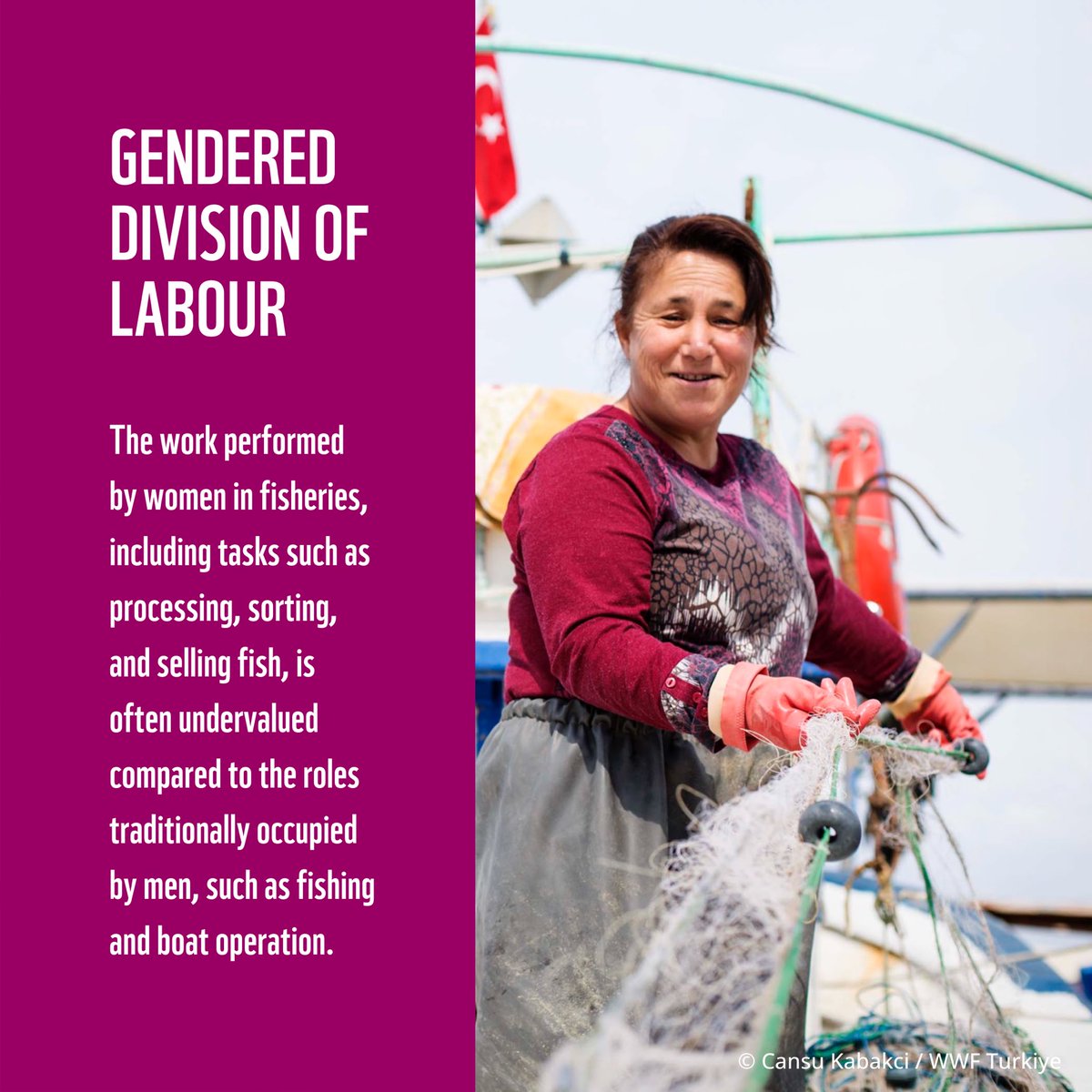 Empowering #women in #fisheries isn't just about #genderequality; it's about building resilient #coastalcommunities, transforming fisheries and safeguarding marine #biodiversity.

#WomeninFisheries #SSF <a href="/WWFNorthAfrica/">@WWF North Africa</a> <a href="/WWFespana/">WWF España 🐼</a> <a href="/WWFitalia/">wwfitalia</a> <a href="/WWF_TURKIYE/">WWF_TURKIYE</a> <a href="/WWFLeadOceans/">WWF Oceans 🌊</a> <a href="/WWFCEE/">WWF Central and Eastern Europe</a>