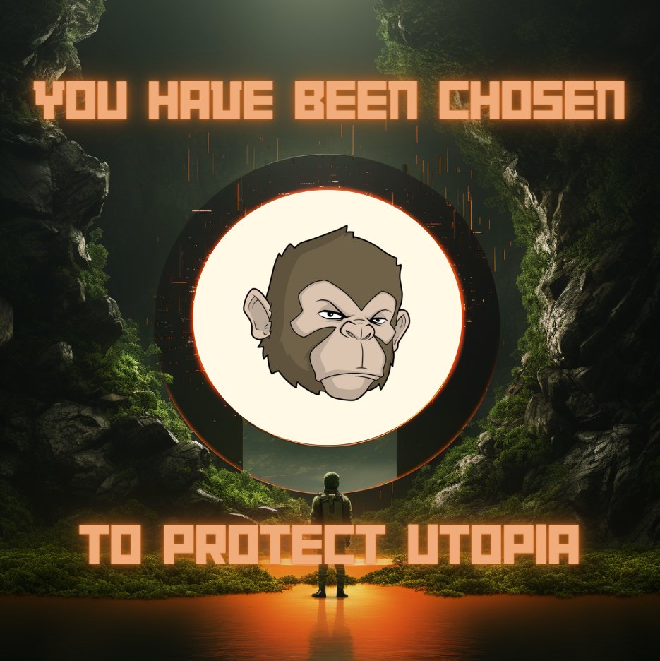 Utopia 🔲💥 tweet media