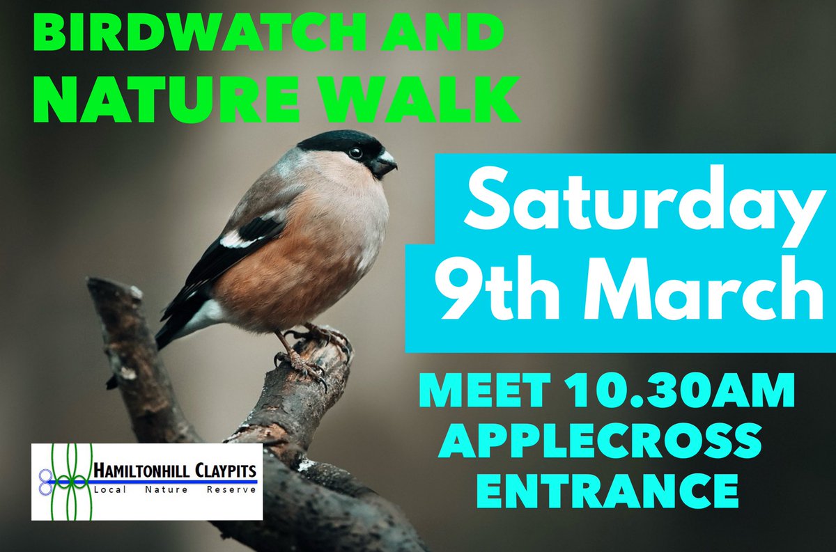 Hamiltonhill Claypits LNR tweet media