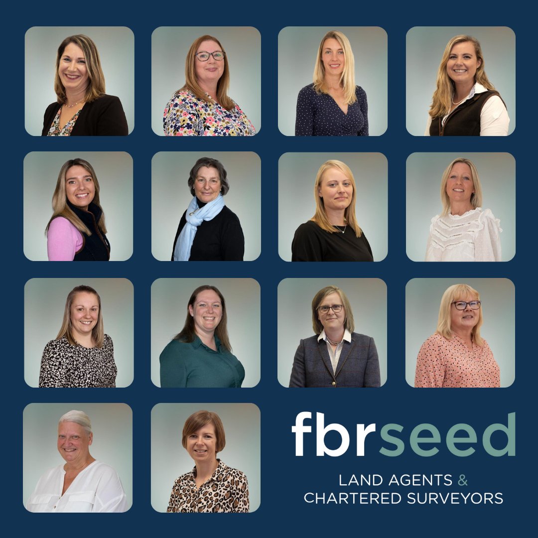 ✨Today is International Women's Day, and we are proud to have such an amazing group of women within the FBRSeed team. Their passion, expertise, and dedication contribute to our unwavering service!