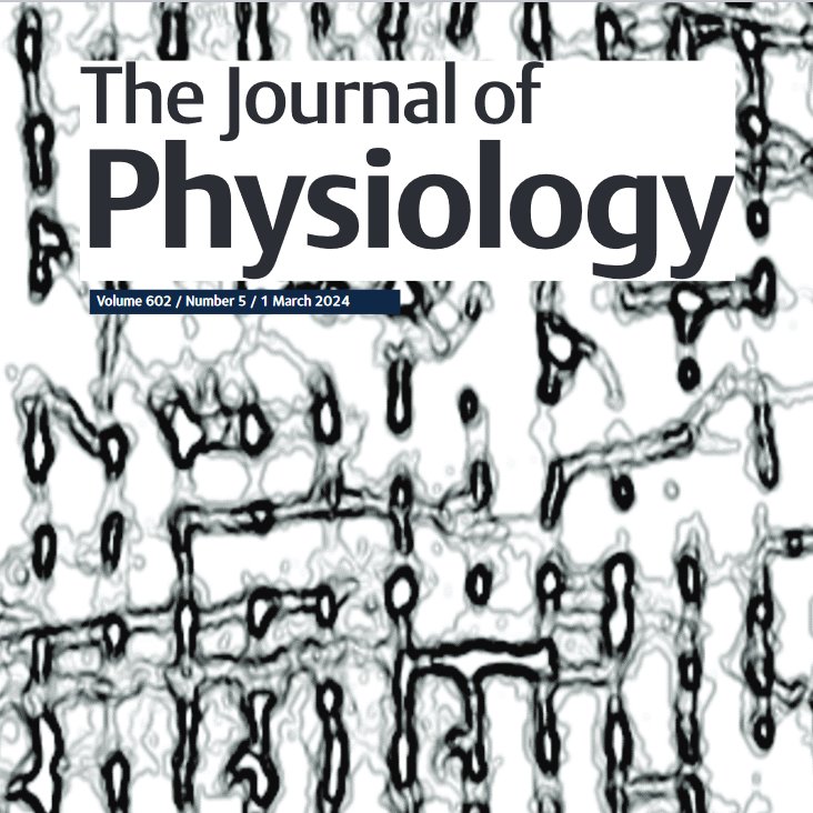 Congratulations on this exciting publication, which is also featured on the cover of this <a href="/JPhysiol/">Journal of Physiology</a> issue. Well done @LeonardoSacconi and colleagues!