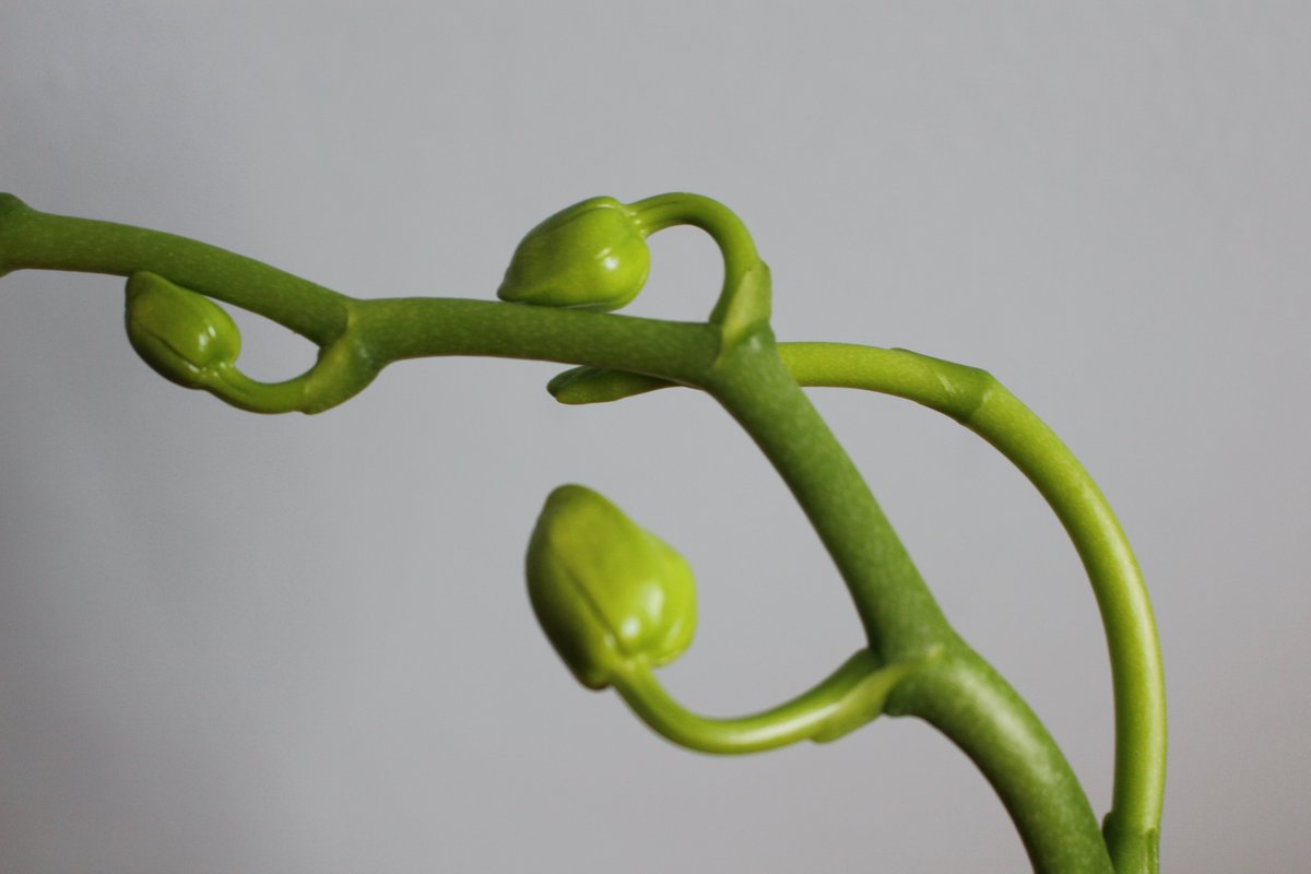 Colm Scully tweet media