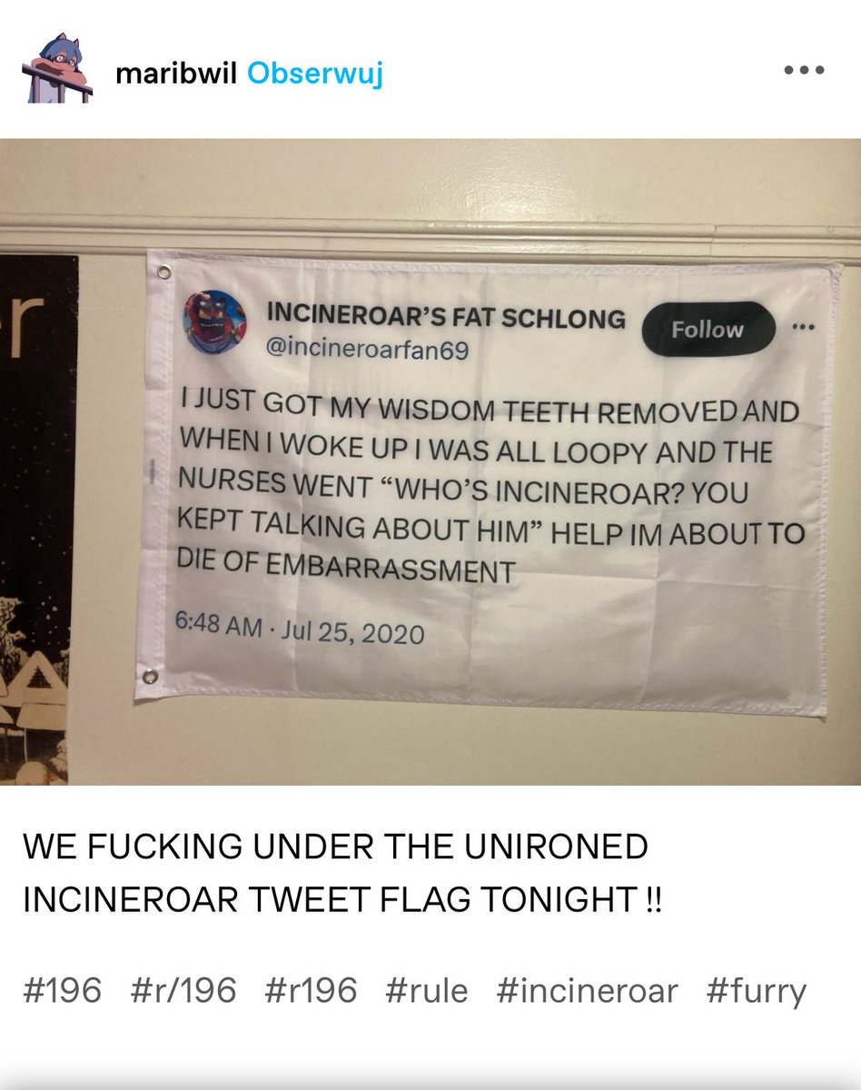 incineroarfan69's tweet image. HELLO?!?!?!?!?!?!?!?!