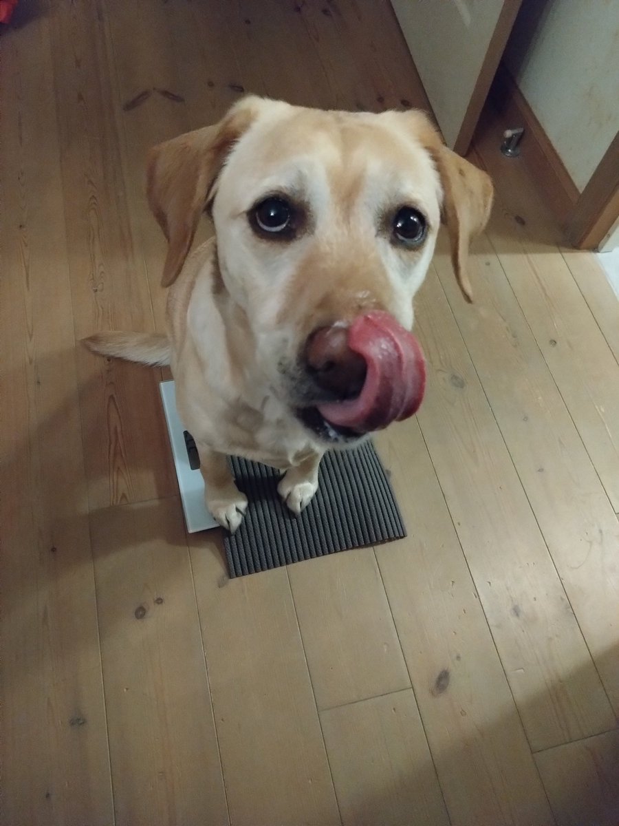 Tattsuun1's tweet photo. Mesuring my body weight https://t.co/EGtTWIWN51