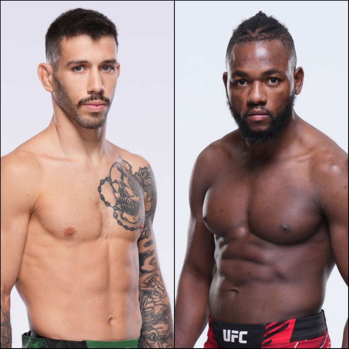 Marcel Dorff 🇳🇱🇮🇩 tweet media