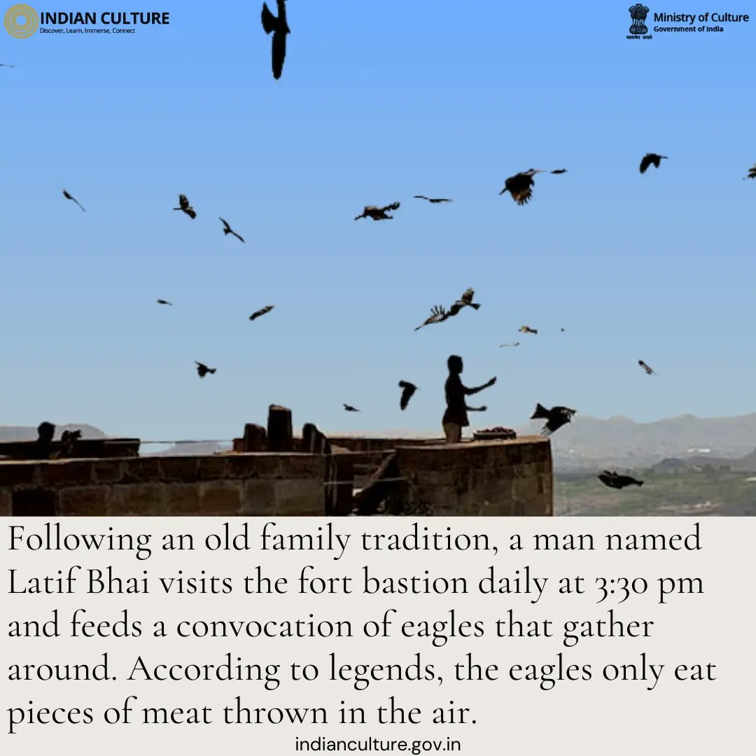_IndianCulture's tweet photo. Read more about the Eagles of the Mehrangarh Fort on the Indian Culture Portal.
#mehrangarhfort #marwar #rajasthan #jodhpur #fortsofindia #eagles #indianrituals #uniquerituals #rajasthan #karnima #raojodha #indianhistory #historyofindia #cultureofindia #rajasthantourism https://t.co/Vo4wOxQND7