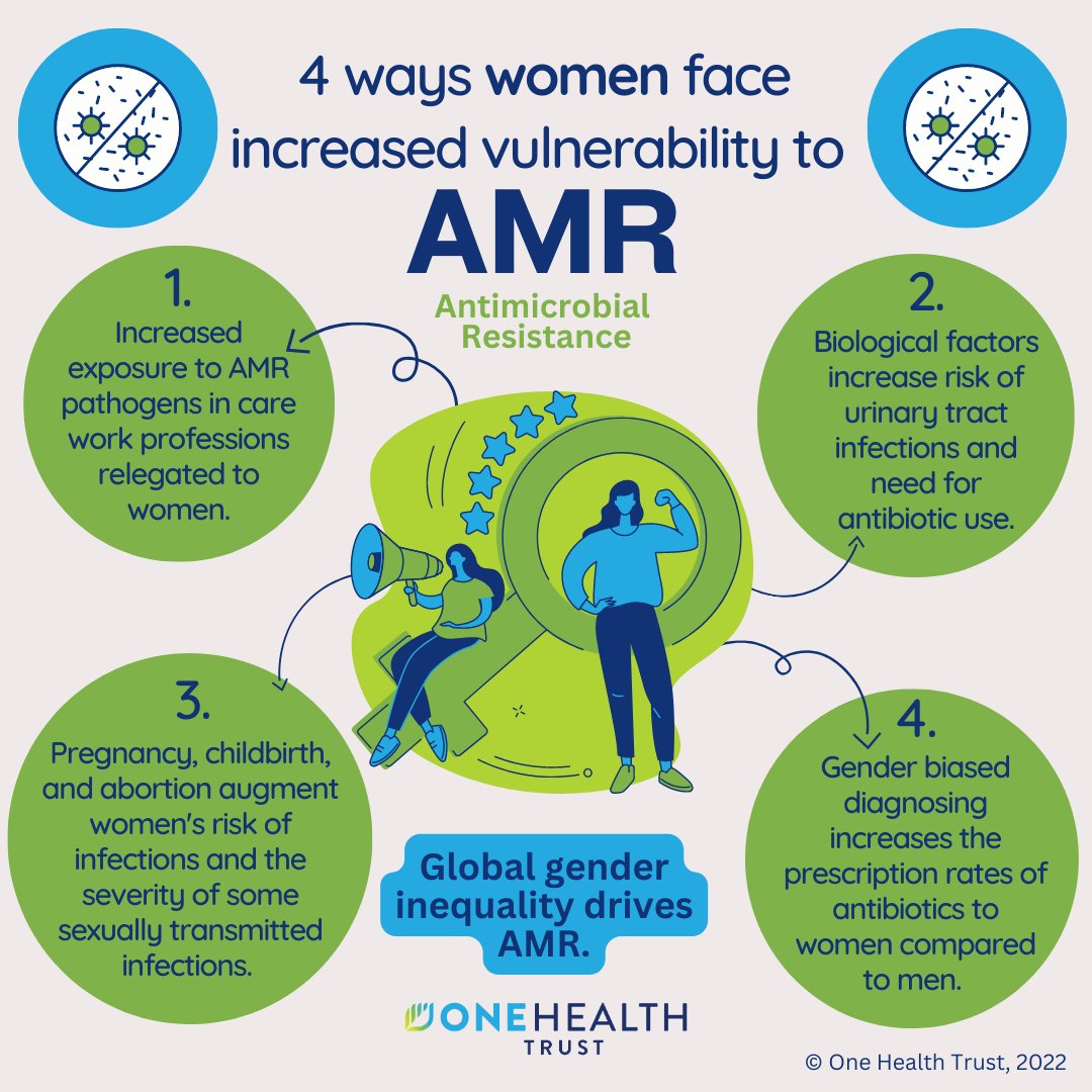 This Women's Day #IWD2024, learn how #genderinequity increases women's vulnerability to #AMR infections. Addressing gender disparities in healthcare access and treatment outcomes is crucial in the fight against AMR. Read here: onehealthtrust.org/news-media/blo…