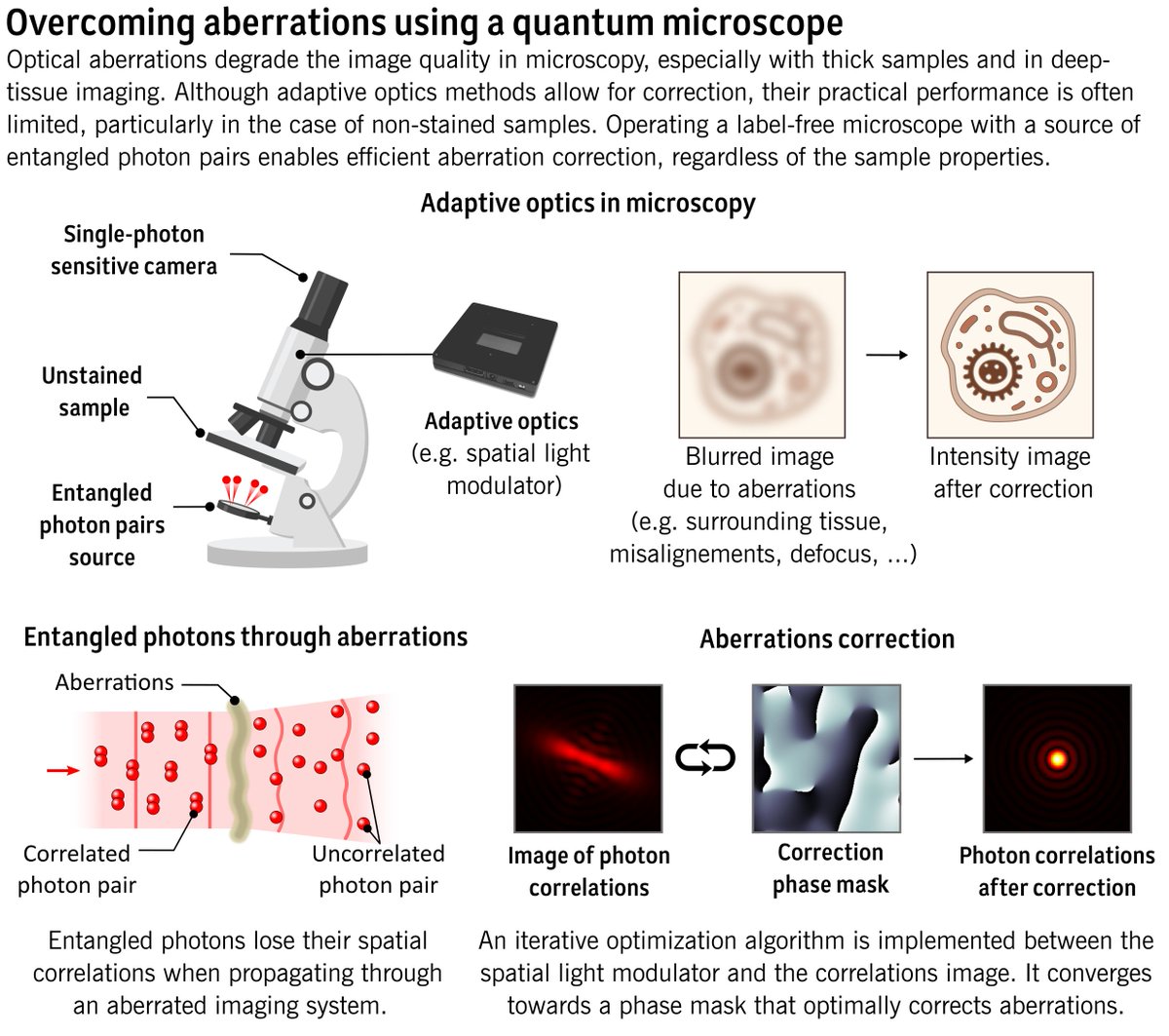 The unique properties of quantum physics could help solve a problem that prevents microscopes from producing sharper images at the smallest scales, new research from @UofGPhysAstro, @GU_ExtremeLight and @Sorbonne_Univ_ suggests. Read more: gla.ac/48Kbj5N