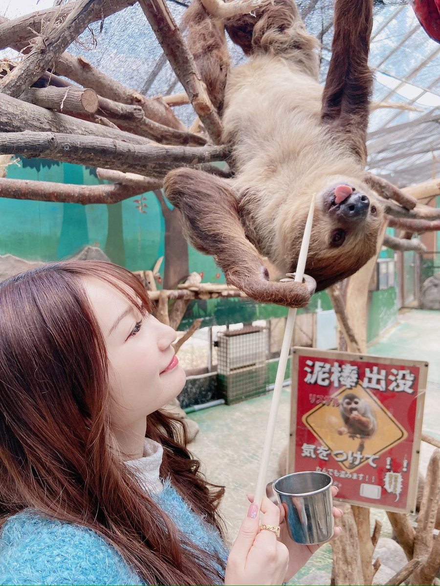 eritanplanet32's tweet photo. こんばんは☺️
北海道行きたくなってきた🤣💓
ナマケモノ🦥かわいかった🫶
またノースサファリ札幌行��たい🫶

✼••┈┈┈┈••✼

❤️‍🔥3/8②リポスト対象投稿 
RPお願いします🙇‍♀️

#RP希望 #拡散希望
 #MissBouquet #ミクチャ #KURAUDIA #アルファブランカ https://t.co/EuQs63sgPV