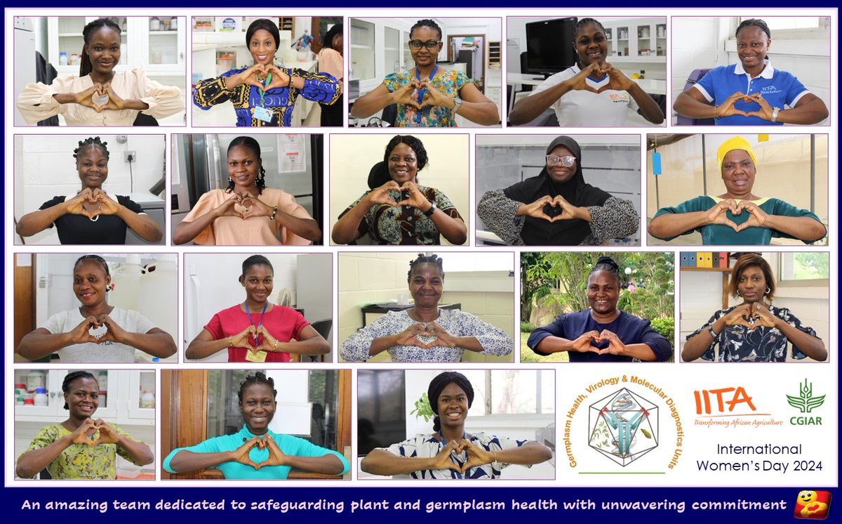 Happy Women's Day! Special greetings to our dynamic @IITA_CGIAR Virology and Germplasm Health team, whose steadfast commitment is key to our work in protecting plant and germplasm health. #WomensDay @CGIAR @CGIARgender