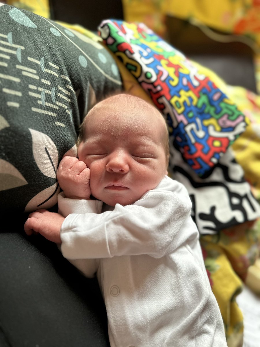 Tamsin Bicknell-Morel tweet media