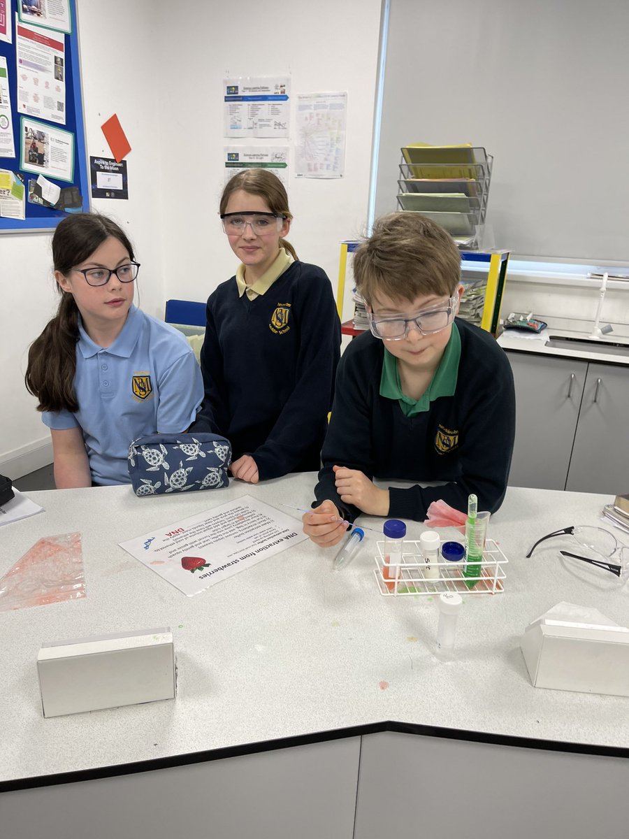 Newminster Middle (@newminstermid) on Twitter photo Year 8 exploring Microscopes and DNA with <a href="/STEMNewcastle/">Newcastle University STEM Outreach</a> #NCW2024 #BSW24 #CEIAG #STEM2024 Year 8 exploring Microscopes and DNA with <a href="/STEMNewcastle/">Newcastle University STEM Outreach</a> #NCW2024 #BSW24 #CEIAG #STEM2024