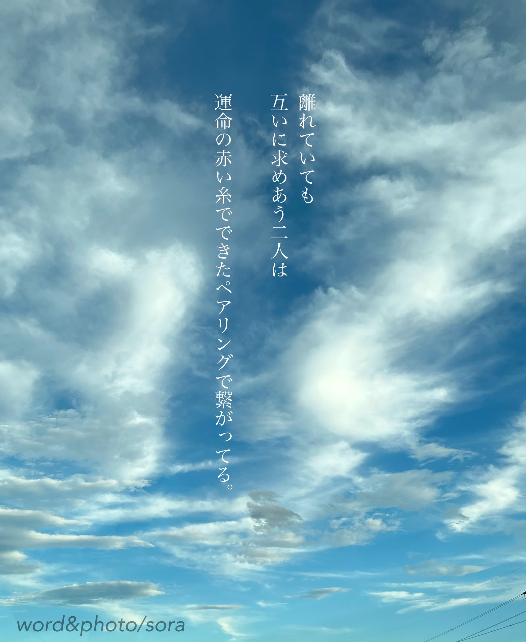 ソラ (@sorachy17) / X