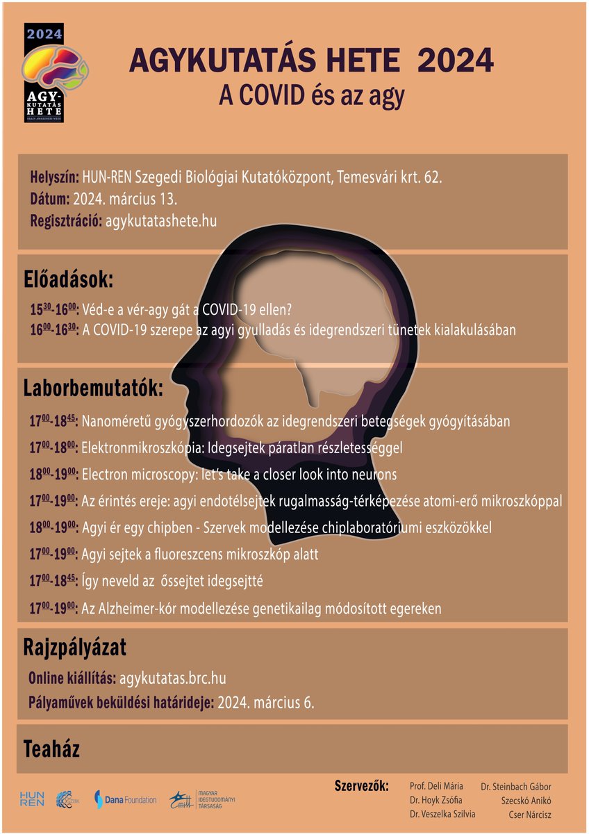 BarriersGroup's tweet photo. On March 13, during the Brain Awareness Week our research centre is organizing a science communication day for  the  public. With  the topic "COVID and the brain". Registration is needed, but the presentations are free to attend. For more info, visit our other platforms. https://t.co/JB50xaXsuR