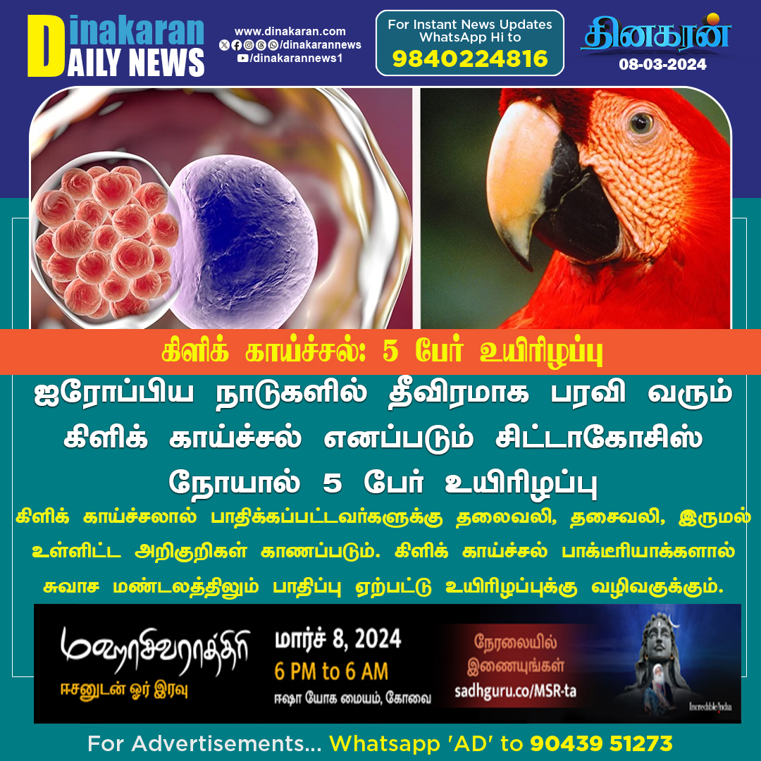 DinakaranNews's tweet photo. ஐரோப்பிய நாடுகளில் தீவிரமாக பரவி வரும் கிளிக் காய்ச்சல் எனப்படும் சிட்டாகோசிஸ் நோயால் 5 பேர் உயிரிழப்பு
#psittacosis #actively #European #DinakaranNews https://t.co/1uZ0hjIepe