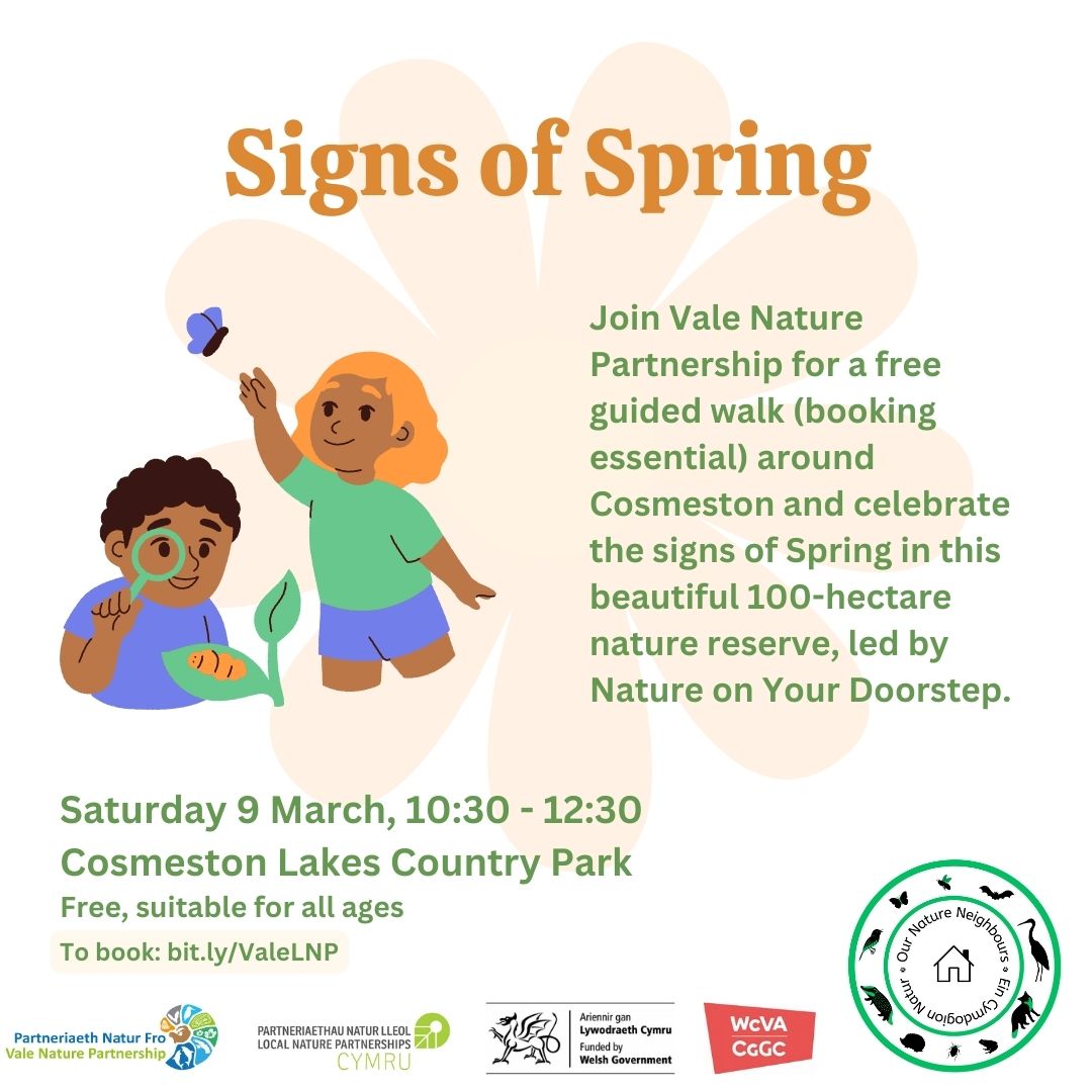 📣Reminder! Join @Vale_LNP tomorrow, Sat 9 March, for a free guided walk around Cosmeston and celebrate the signs of Spring in this beautiful 100-hectare nature reserve, led by @AilinKee Sat 9 March, 10:30 - 12:30 Cosmeston Lakes Country Park Book: eventbrite.co.uk/e/signs-of-spr…