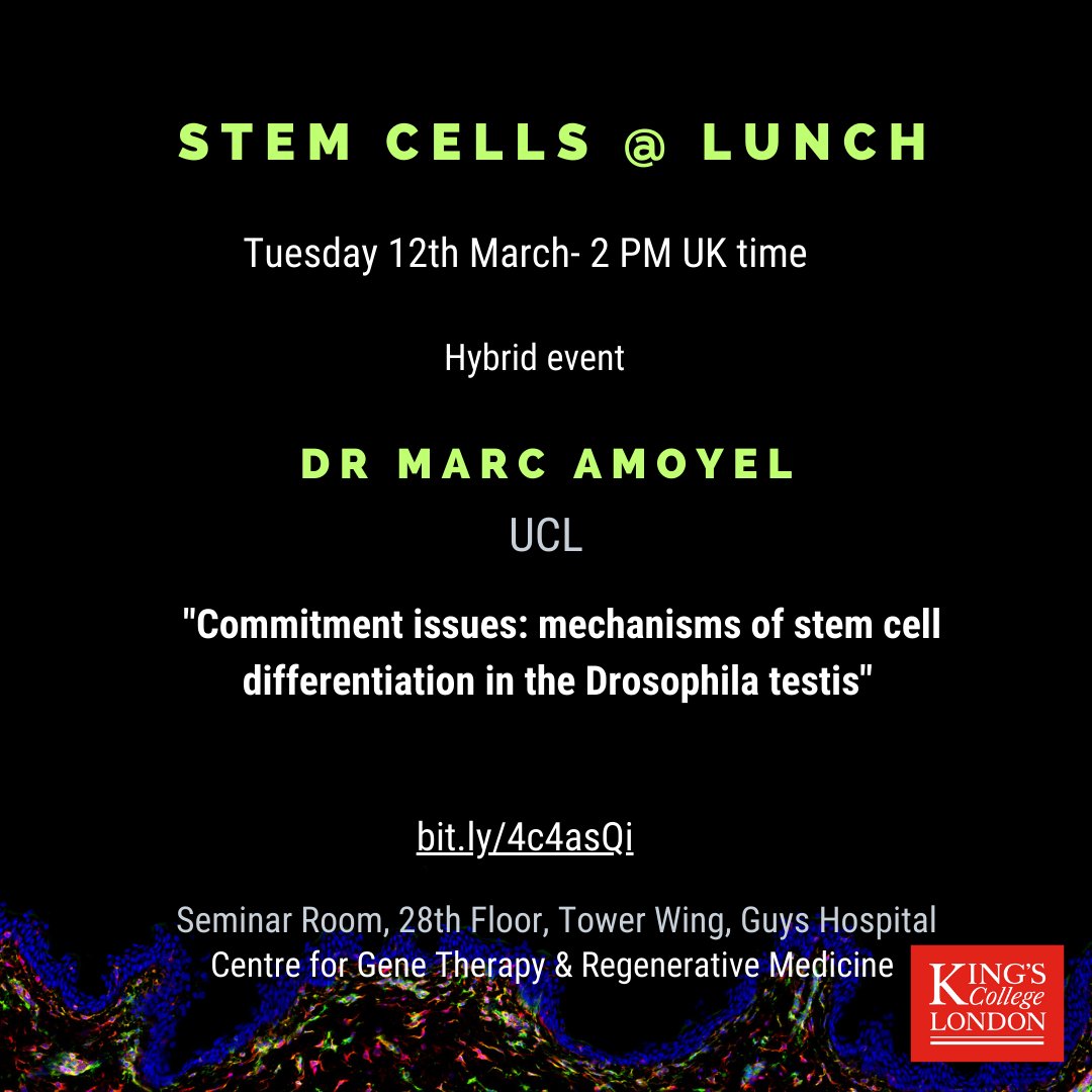 Please join us for next stem cells @ Lunch on Tuesday 12th March 2PM we are looking forward to hear some exciting research from Dr Marc Amoyel !! See you in person or online !!!👇