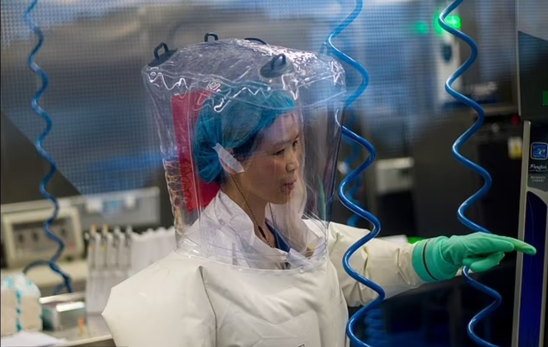 🔴 Un laboratorio canadiense que trabaja con los virus más letales del mundo reforzó su seguridad luego de que una investigación revelara que científicos vinculados al gobierno y al ejército chino obtuvieron acceso y enviaron por correo varias muestras de estos virus a Wuhan,