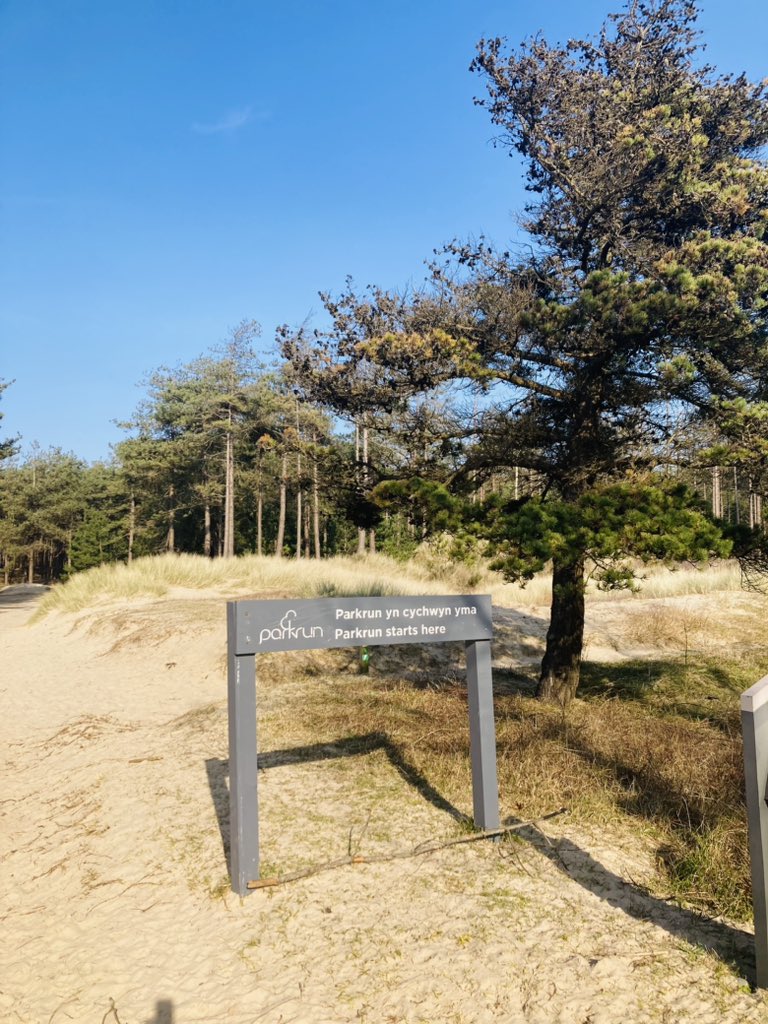 Bren Blackett🐝💙 tweet media