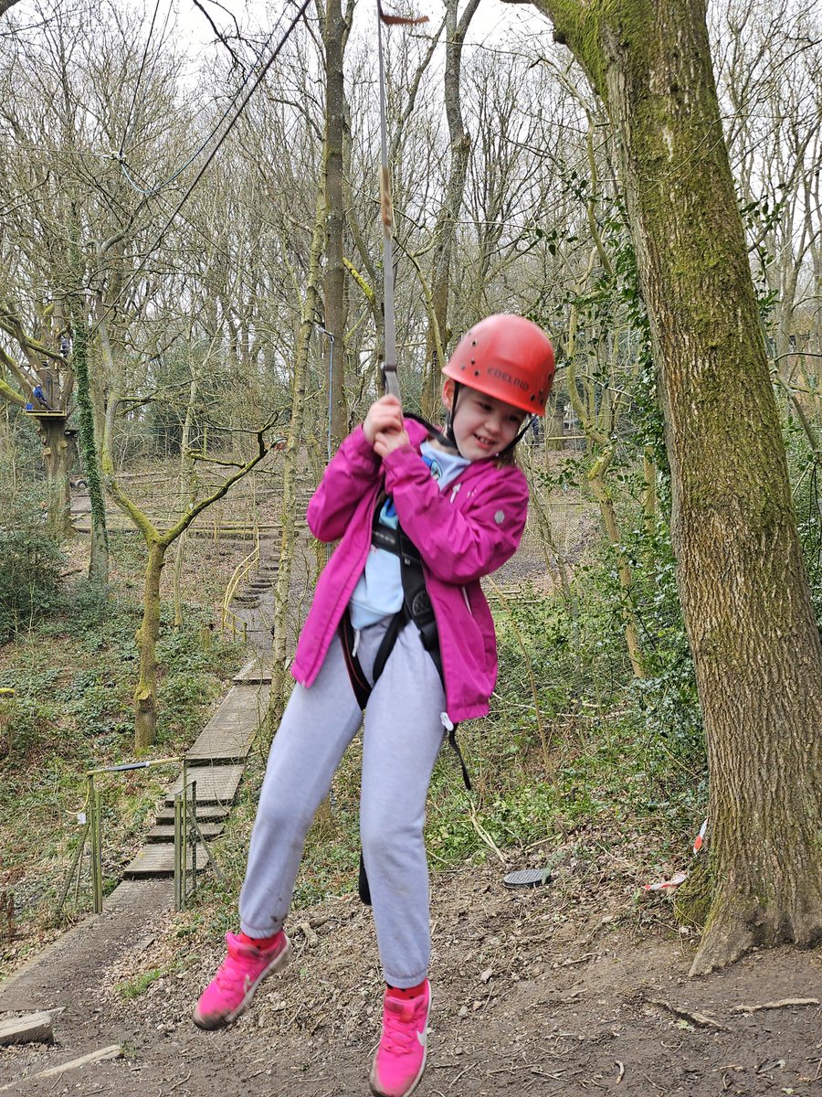 SPMVPineClass's tweet photo. Zip line fun! @SomersPark4EM @SPMVCedar @SomersPark4MF https://t.co/ubvOpmwwzc