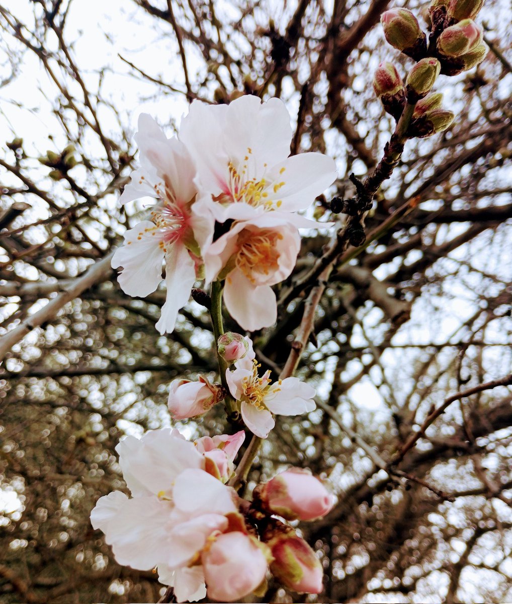 Amber02150's tweet image. A great upcoming weekend for everyone 🍃
The first of #springtime 🌸

🍃
#MarchVibes