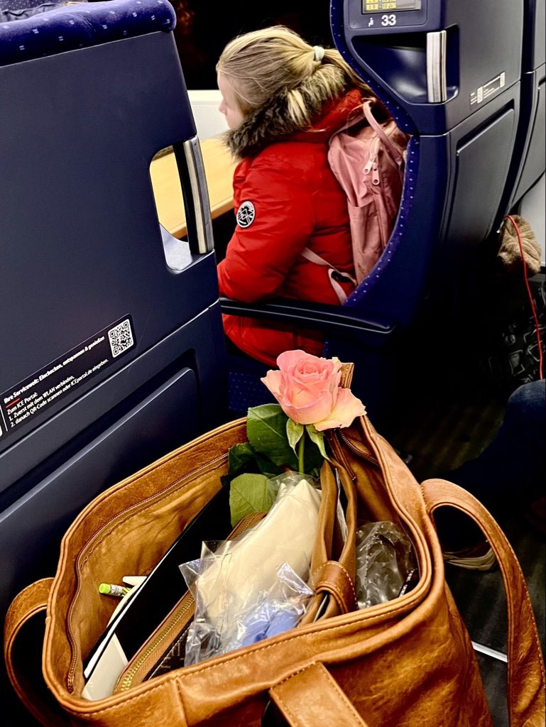 NYwelskop's tweet photo. Ganz schön schwer, die #Weltfrauentag-#Rose heile im übervollen Zug zu transportieren. #GDL #Friedenbeginnt https://t.co/0elqRPAesN