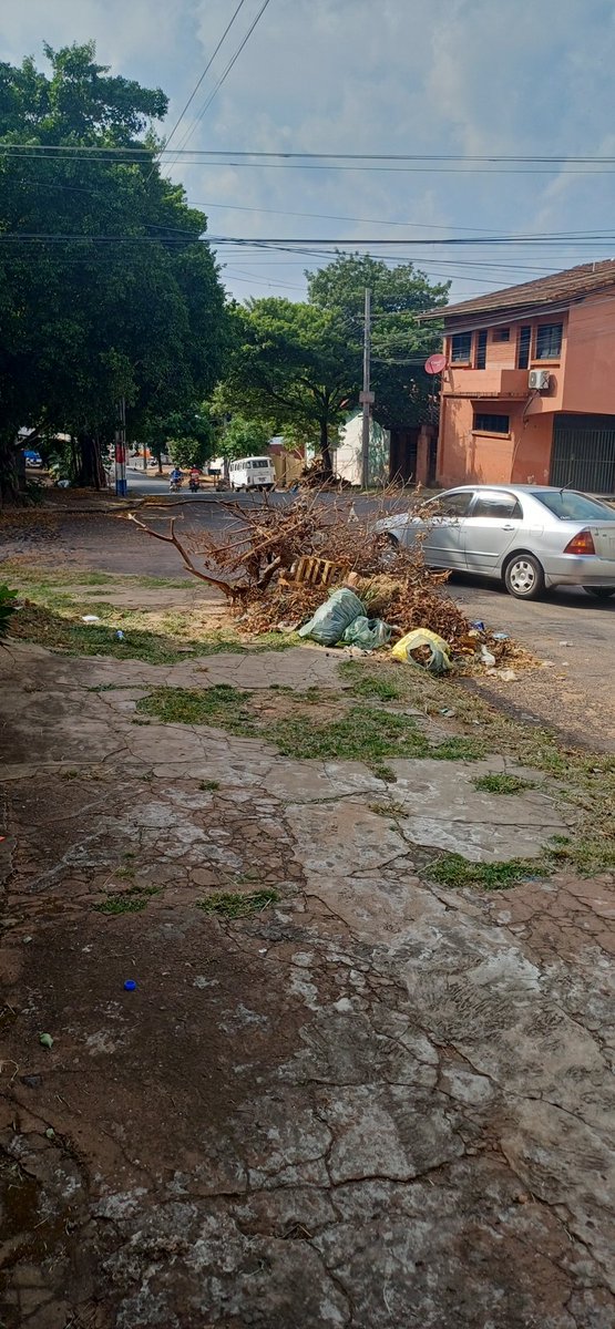 Carloselc17's tweet photo. Vinieron a hacer la limpieza y dejaron toda esta basura en la esquina de mi casa.. tte buzarquiz 1655 esquina rigoberto caballero.. espero vengan a buscar @AsuncionMuni https://t.co/Sd9eM2S1dA