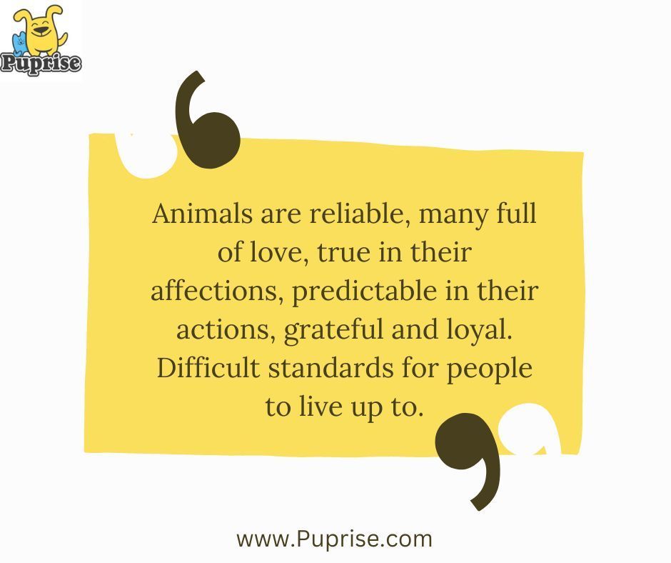 Quote of the day by puprise !!! #Puprise #petstore #petparents #petsupplies #petlovers #petfood #petfood #petfriendly #petscorner #petsofinstaworld #dogsofinstagram #catsofinstagram #doglover #catlover #pettreats