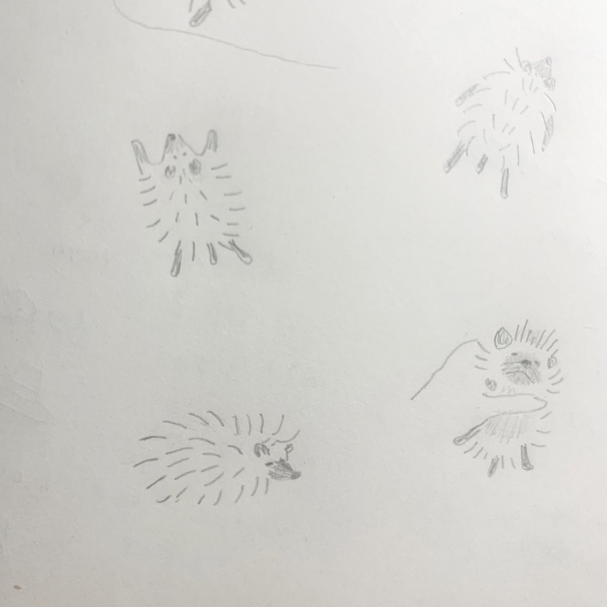 soooocereal tweet media