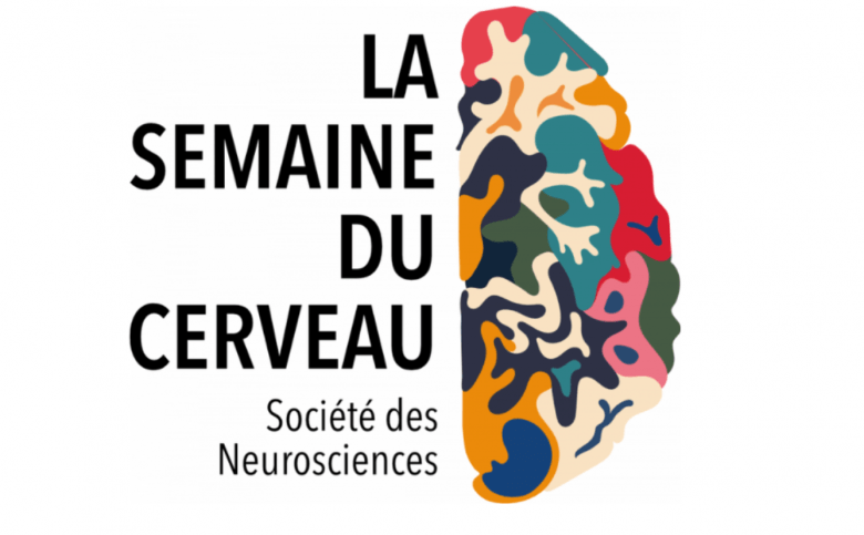 📢Lancement de la Semaine du cerveau, du 11/03 au 17/03 🧠! A noter le 12/03 à 18h la conférence-débat 'Mémoire et traumatisme' avec l'unité #NutriNeurO de @INRAE_NA_BDX à la 📍@librairiemollat Plus d'info👉bit.ly/3uUabyO @Neuro_Bordeaux #SDC2024 #neurosciences