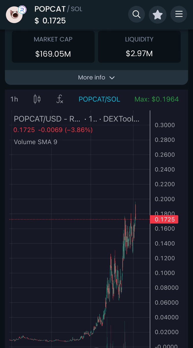 My goodness $POPCAT is there no stopping you?? I believe another 5x happens here taking it straight to 1B MC 🚀